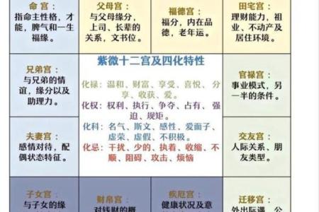 紫薇斗数怎么看命理正缘