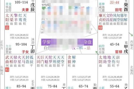 紫薇斗数福德宫火星