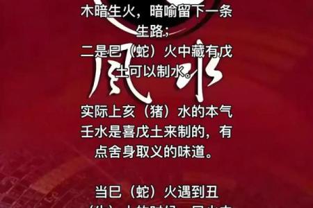 无明师难入门，职业命师传你八字命理有效学习练习经验（二）