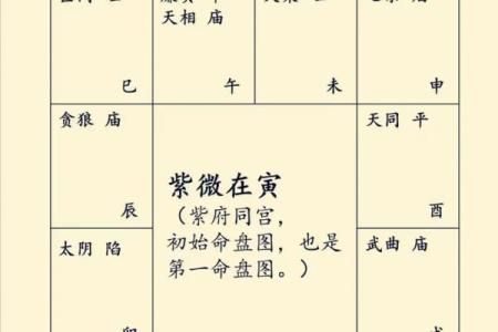 紫薇斗数同垣