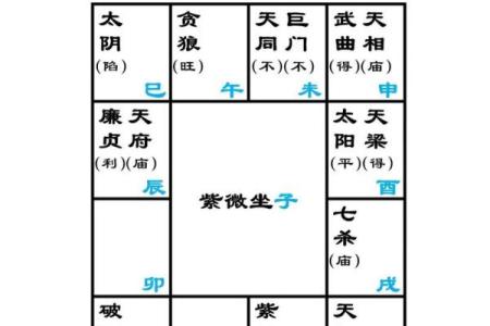 紫微斗数术语解释之：强宫、弱宫