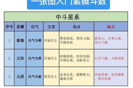 紫薇斗数  -_是什么意思