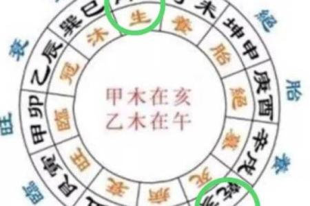 八字杂格