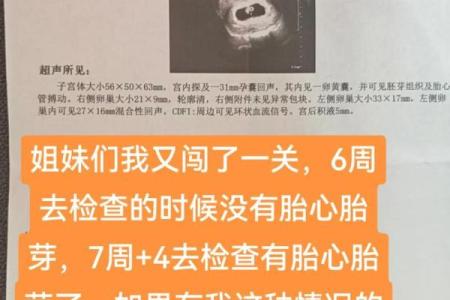 算命说打过胎实际没有胎心