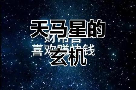 紫薇斗数运马