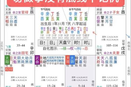 唐艺尹老师：紫薇斗数主星解释