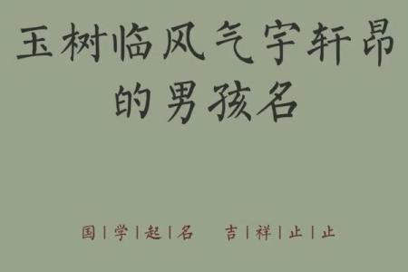 晚上九点出生的属羊男孩起什么名，用什么字姓名