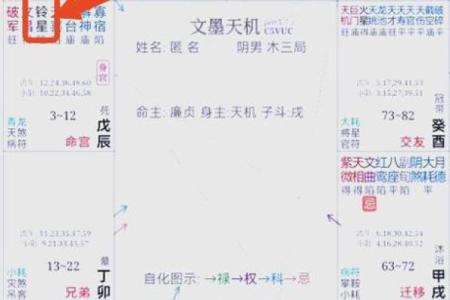 紫微斗数之兄弟宫与诸星,贪狼星在兄弟宫是什么意思？