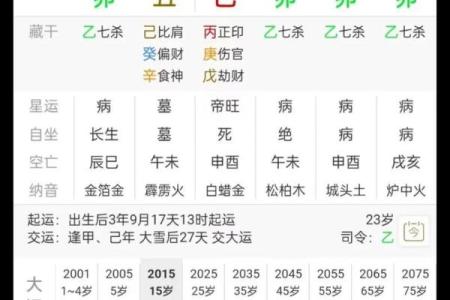 八字天机下载