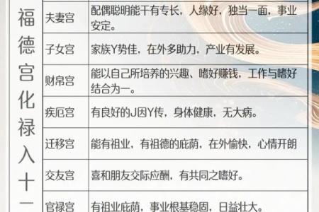 紫薇斗数解释意思
