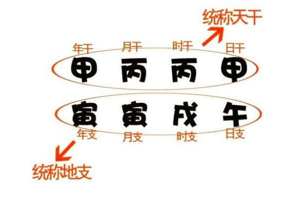 女富贵八字