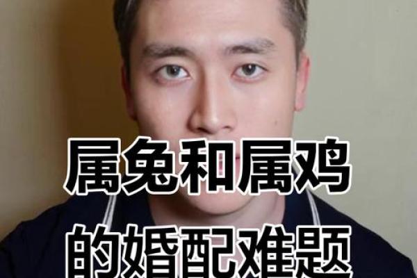 在线八字合婚 属鸡和属兔的合不合