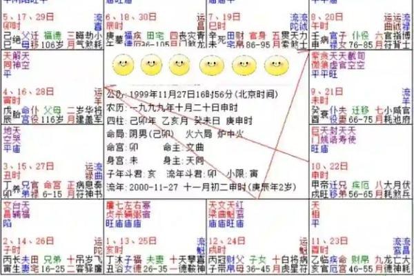 紫薇斗数忌星入十二宫