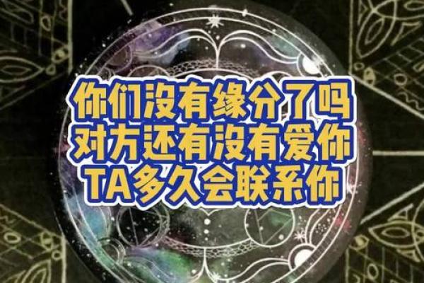 塔罗测试这一次你们还会复合吗 彻底缘分尽了吗