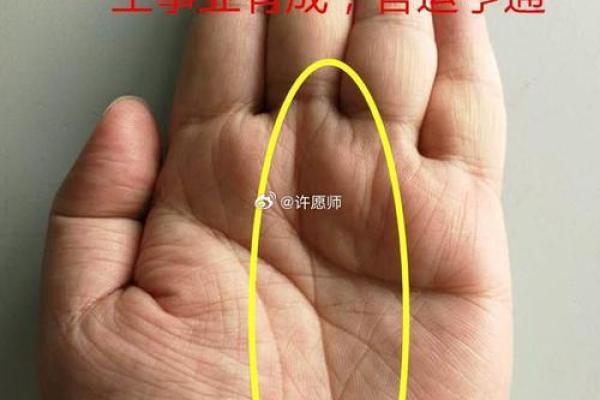 手相算命图解事业线
