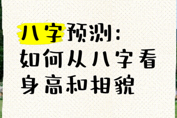 八字如何看贵贱