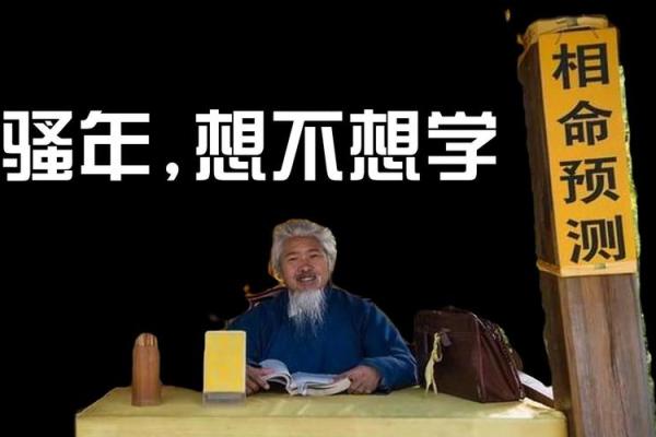 大师算命视频