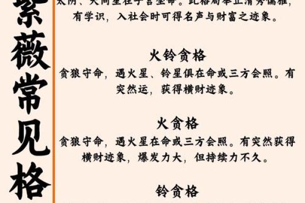 紫薇斗数有福