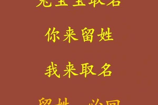 12月份出生的属兔男孩取哪些名字好姓名