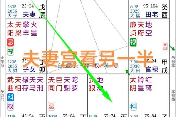 太阳在夫妻宫，紫微斗数太阳星入夫妻宫
