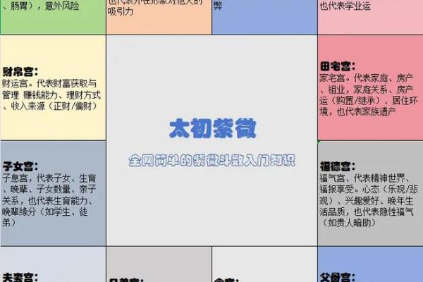 紫微斗数看美女 紫微斗数看美女格局？