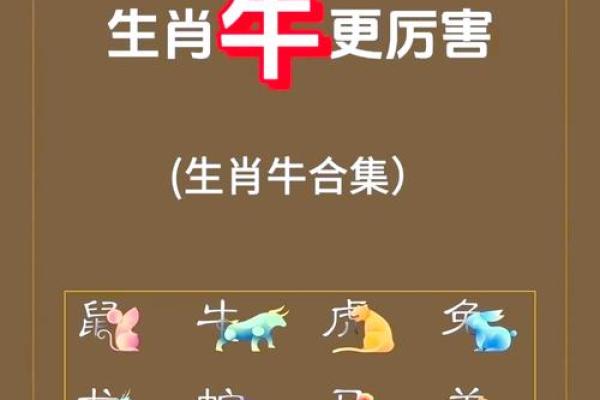 姓牛的名人-姓名学-华易算命网姓名