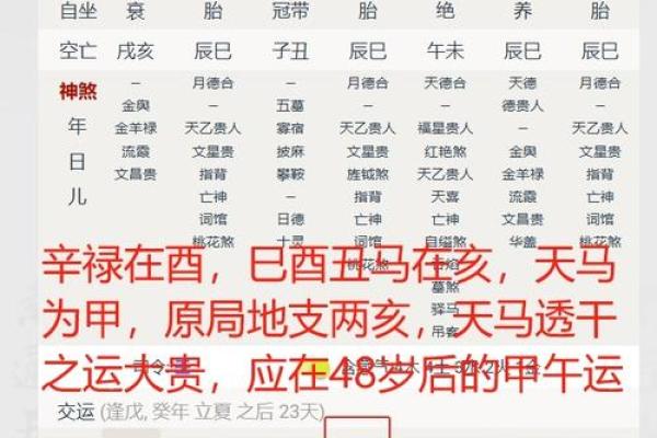 马未都说生辰八字算命吗