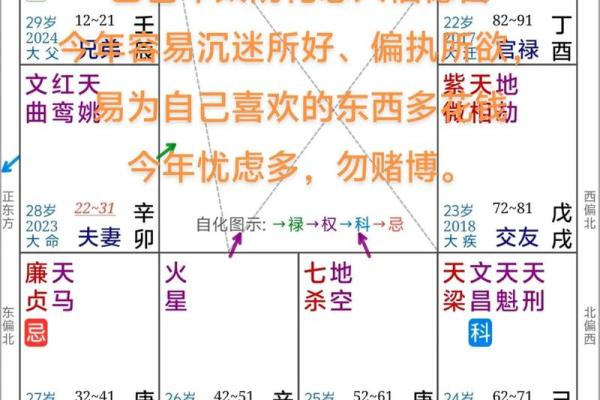 紫薇斗数生肖表