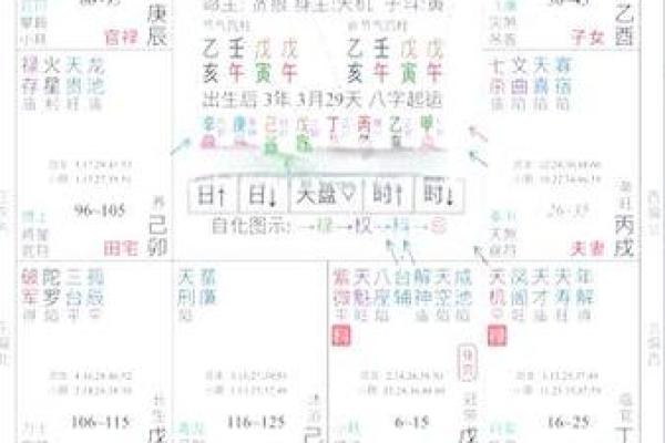 紫薇斗数软件破解