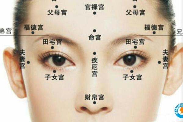 如何从女人下巴面相算命