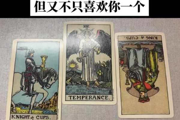 塔罗测试：为什么会遭人背叛