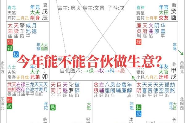 【紫微斗数】排盘技巧047: 紫微斗数在法律领域的应用 【紫微斗数】排盘技巧047: 紫微斗数在法律领域的应用