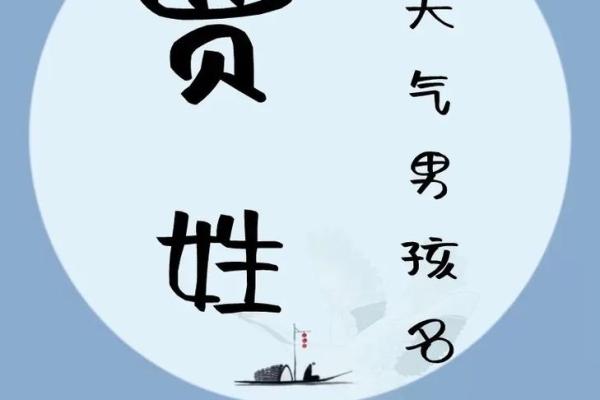 贾姓女孩名字大全-贾姓女孩起名字大全-贾姓名字大全姓名