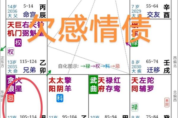 紫微斗数看姻缘感情