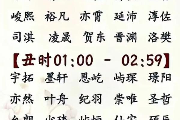 2019年3月24号亥时出生的男孩起名时要注意什么姓名