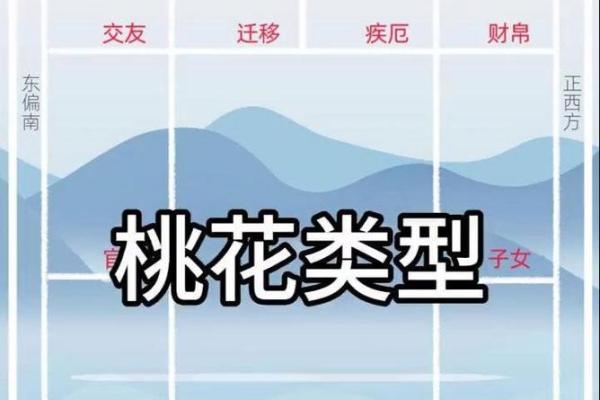 男命紫薇斗数看桃花