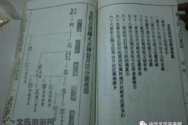 唐姓氏的家谱记载和各支始祖-姓名学-华易网姓名