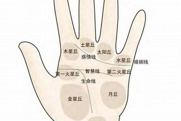 看手相算命婚姻