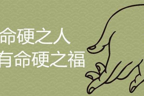 八字带两个童子的人大有作为