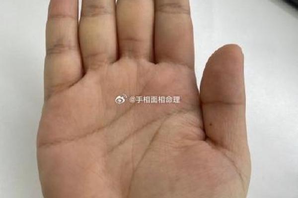 算命中指的官是什么