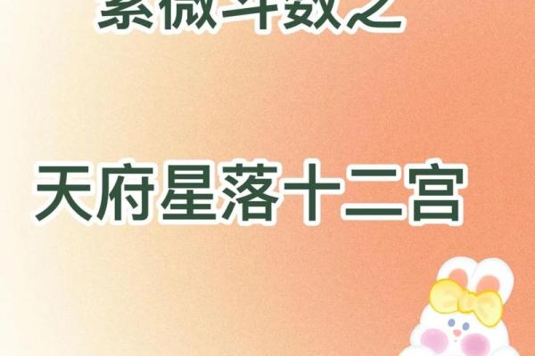 跟着AI学紫薇斗数，十二宫介绍