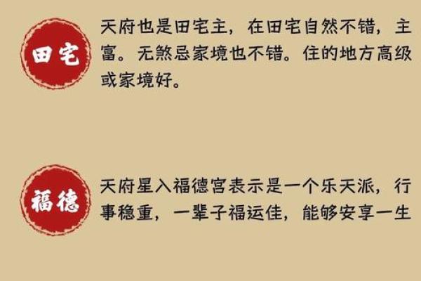 何国栋紫薇斗数