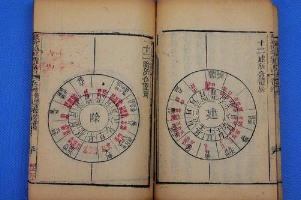 何国栋紫薇斗数
