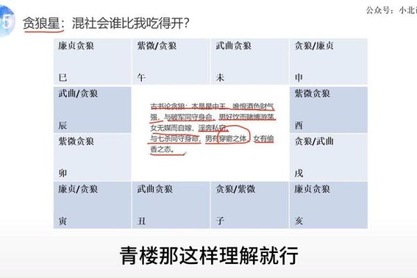 紫薇斗数贪狼在命宫