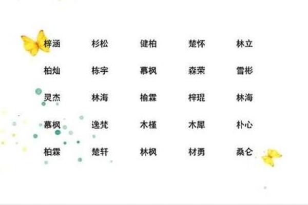 2019年5月12号卯时出生的男孩要怎么起名字姓名