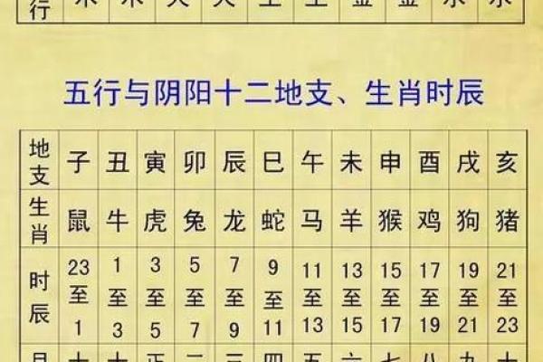 看生辰八字看什么