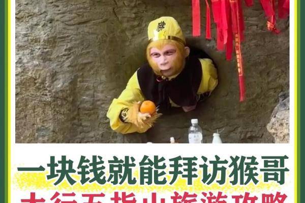 五指山算命哪里准