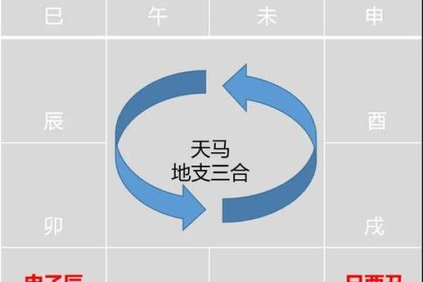 紫微斗数之十二宫分属阴阳