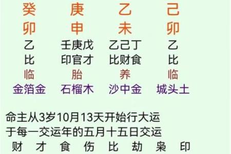 天干双壬的八字格局