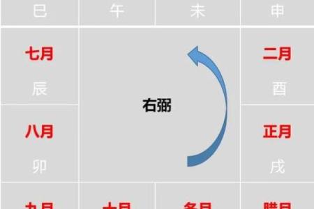 【紫微斗数】排盘技巧038：紫微斗数的未来发展